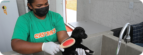 Rodoviária do Plano Piloto
