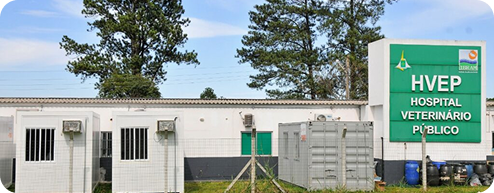 Escadas rolantes Rodoviária