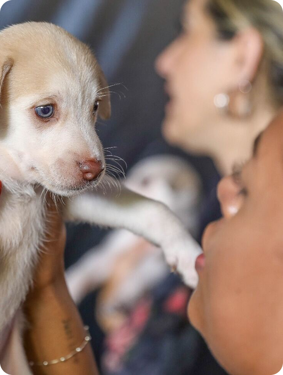 Foto de um ponto de ônibus